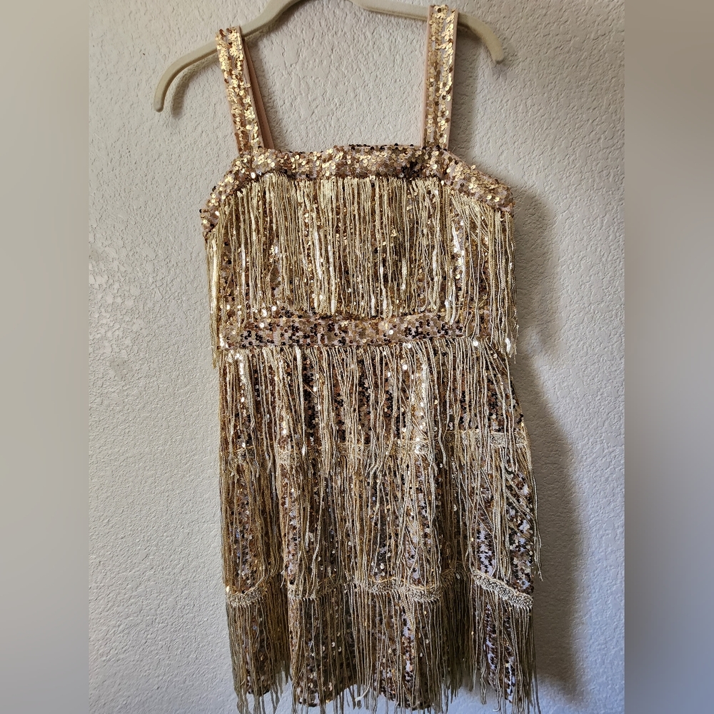Taylor Swift Eras Tour Fearless Sequin Fringe Dress